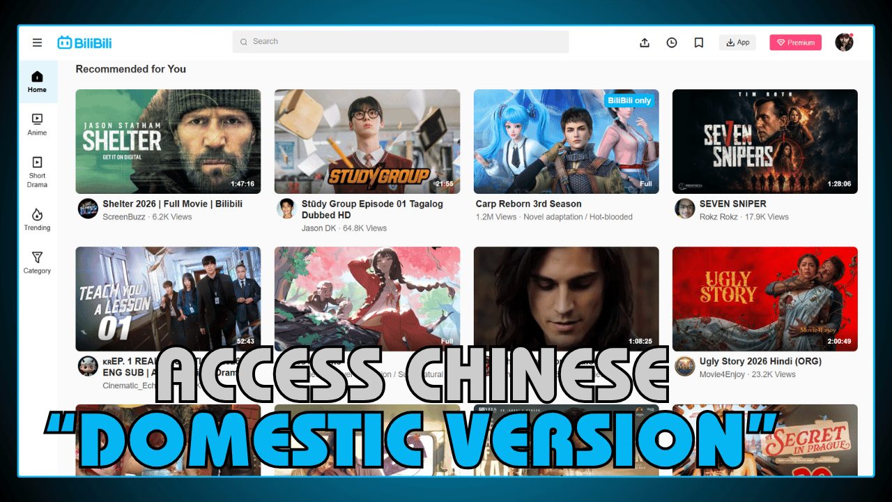 Access Chinese Domestic Version