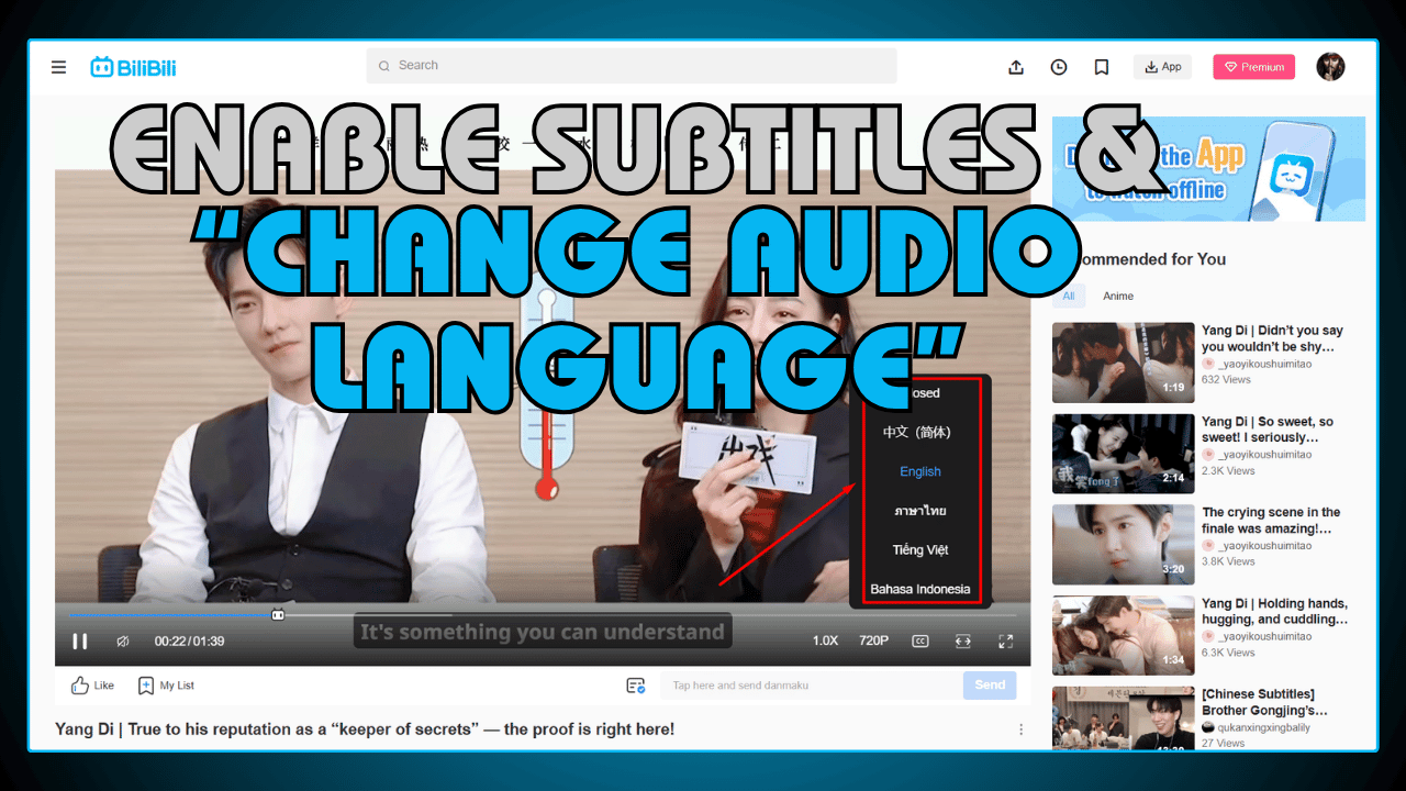 Enable Subtitles and Change Audio Language