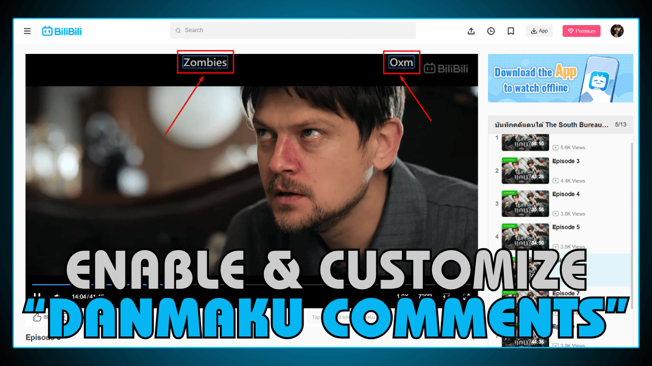 Enable and Customize Danmaku Comments