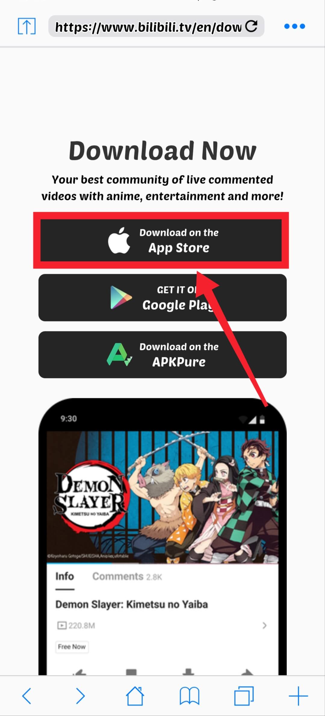 Download Native iOS App