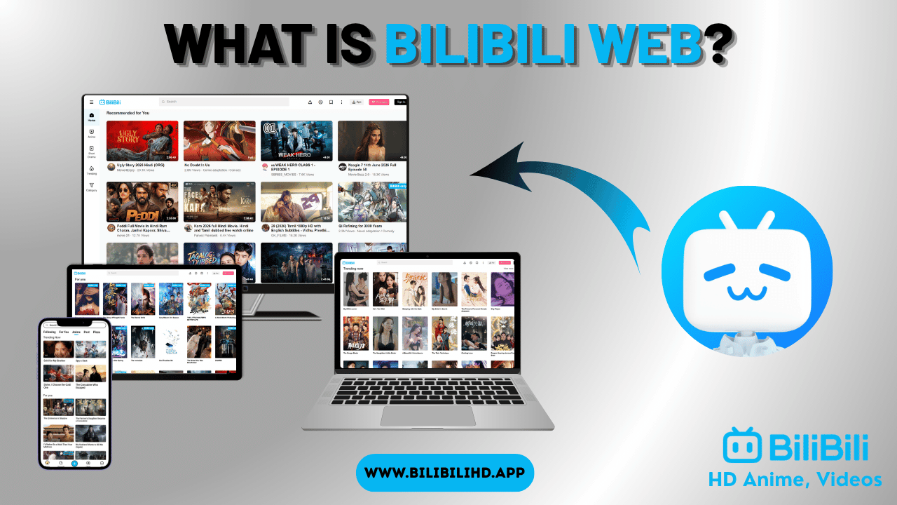 What is Bilibili Web